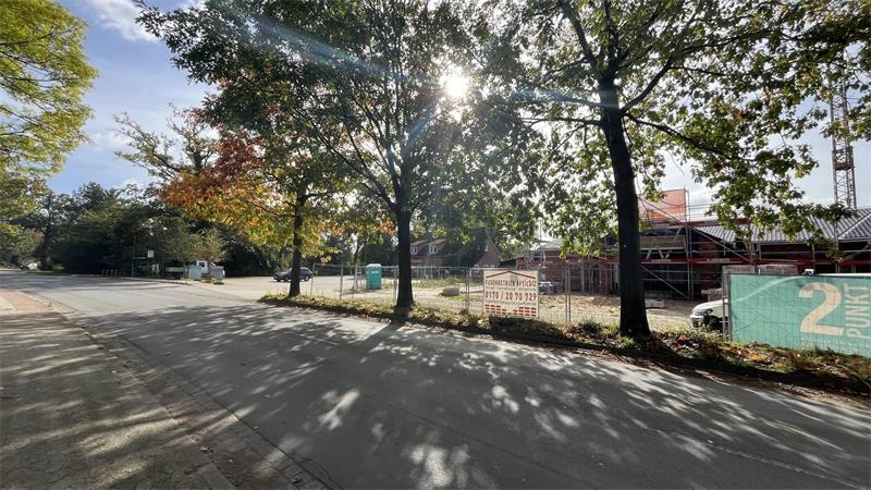 Diese Idee könnte ein „Baummassaker“ in Fredenbeck verhindern Die Bäume an der Schwingestraße bieten Schatten.