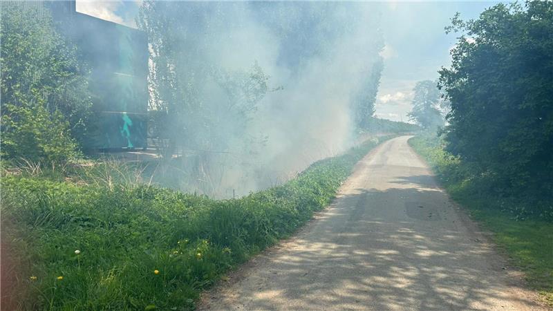 Grabenbrand im Alten Land schnell gelöscht Die Bäume im Graben brannten, konnten aber schnell gelöscht werden.
