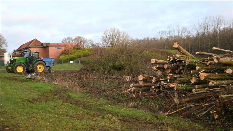 Die Bäume stapeln sich südlich des Wasserwerks in Dollern.