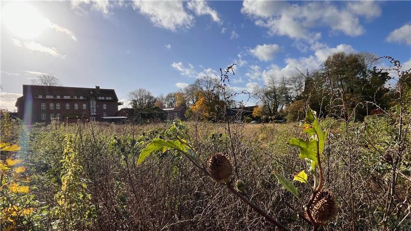 Die Bagger sind noch nicht in Sicht: das Areal zwischen Steinmetzhaus und Mühlenstraße.