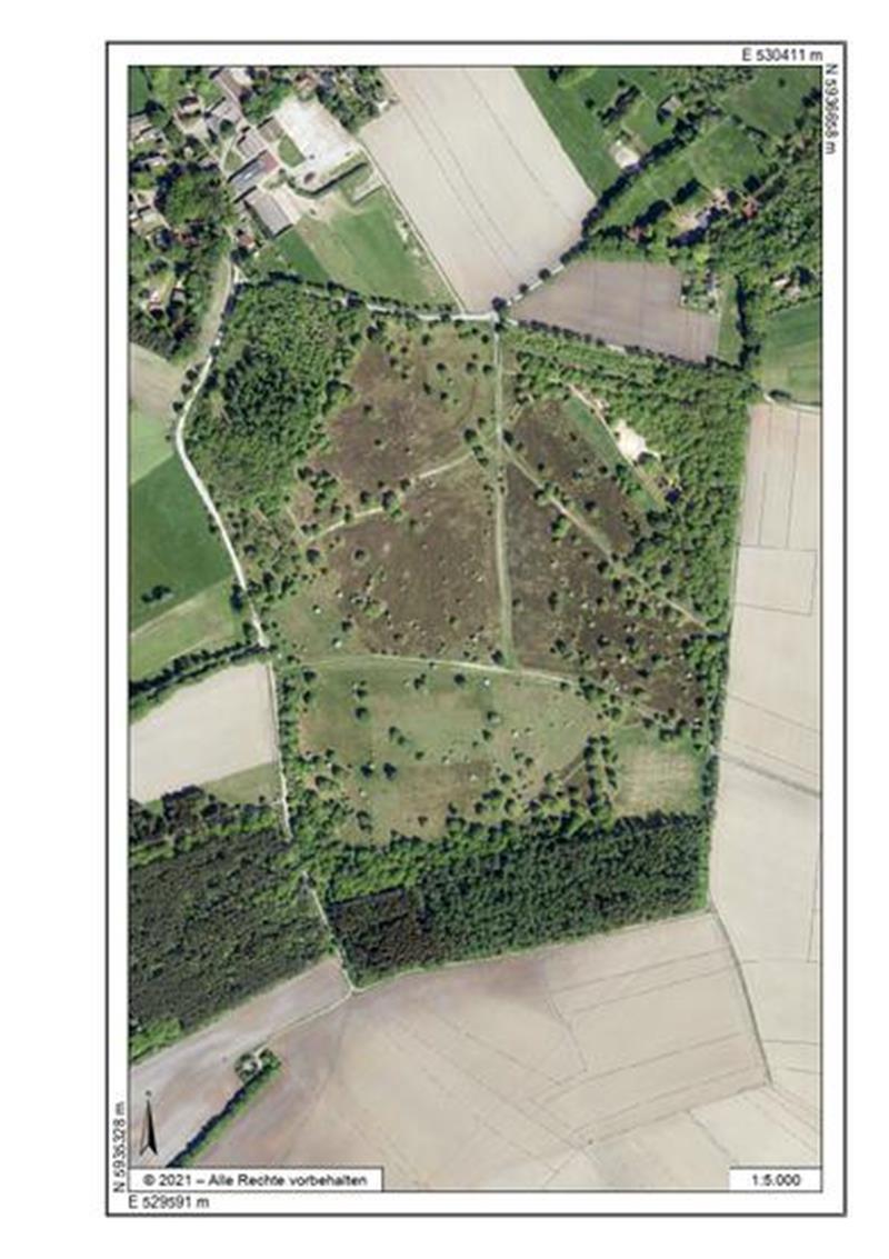 Die Barger Heide von oben. Sie liegt im Stader Süden.