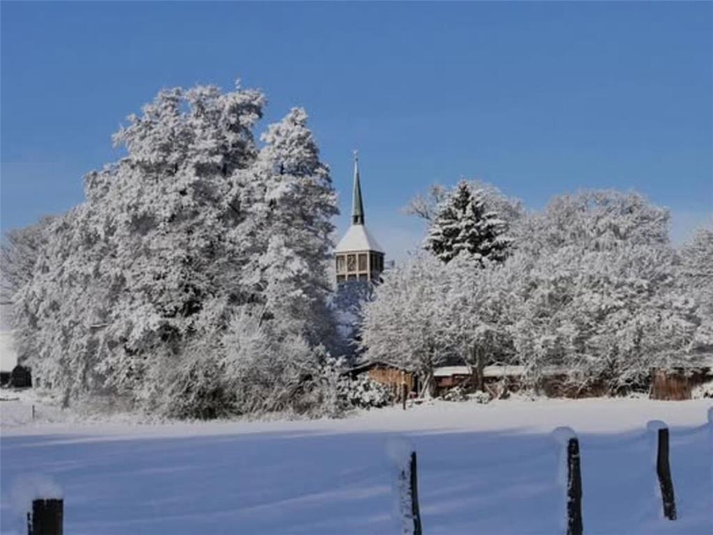 Die Bargstedter Kirche zwischen den verschneiten Bäumen.