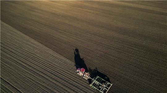 Die Bauern befürchten schwierige Geschäftsbedingungen 2026. (Archivbild) 