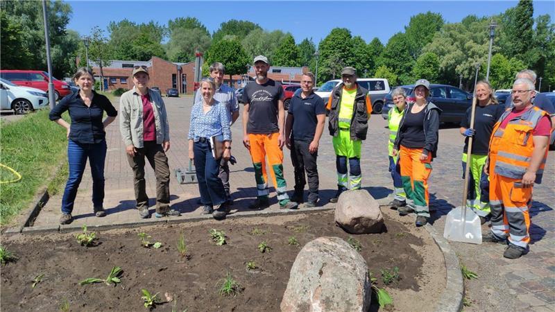 Für mehr Artenvielfalt: Wilde Stauden am Stadeum in Stade gepflanzt Die Bauhofmitarbeiter lernten unter anderem, worauf sie beim Pflanzen von Wildstauden achten müssen.