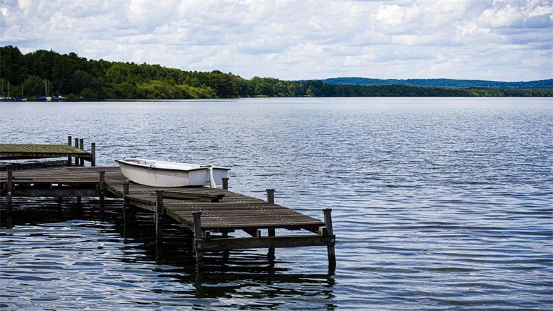 Hitzeperiode löst Fischsterben im Steinhuder Meer aus Die Behörden erwarten, dass sich die Situation am Steinhuder Meer in den kommenden Tagen entspannt. (Archivbild)