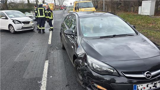 Die Beifahrerin des verunfallten Seats musste mit einem Rettungshubschrauber in eine Spezialklinik geflogen werden.