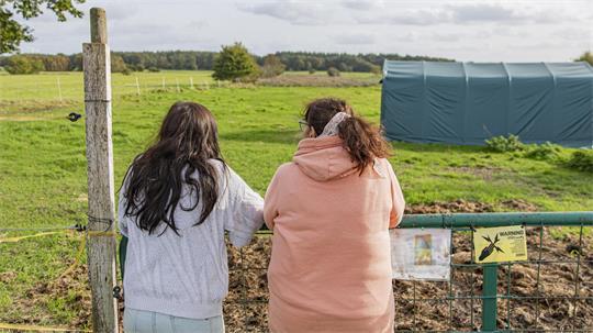Die Besitzerin von Bella und ihre Schwiegermutter blicken über die Weide, auf der das Pferd zuletzt stand. Für die Familie B. war Bella weit mehr als ein Sportpferd. Sie war ein Familienmitglied, und ihr Verlust hinterlässt eine schmerzhafte Lücke.