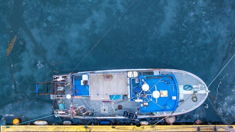 Die Bestände in der Ostsee stehen wegen des Klimawandels, Überfischung und Nährstoffeinträgen stark unter Druck.