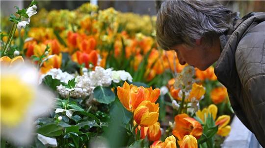 Die Besucherzahl auf der diesjährigen Woche übertraf die Erwartungen deutlich. (Archivbild)