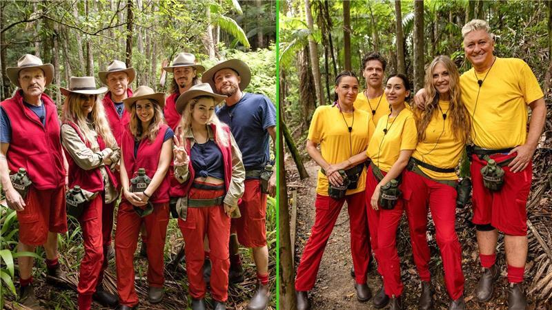 Die Bewohner des Dschungelcamps wohnen seit dem zweiten Tag alle zusammen. 