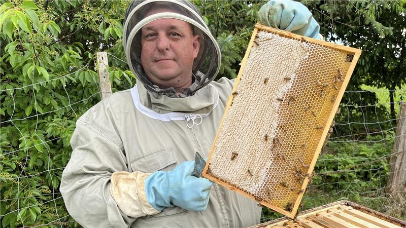 Bei diesem Ahlerstedter dürfen Königinnen alt werden - und machten ihn gesund Die Bienen waren fleißig: Lars Schmolinski mit einer vollen Zarge.