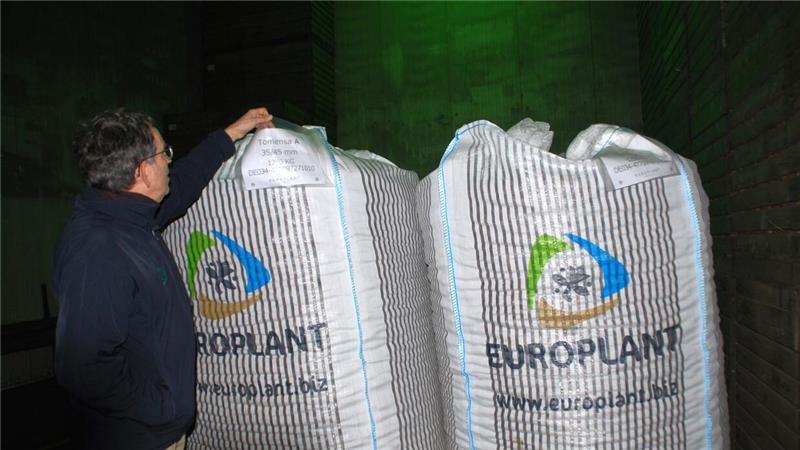 Die Big-Packs mit Saatkartoffeln von der Geest werden über Rotterdam nach Israel exportiert. Grünes Licht steigert die Qualität.