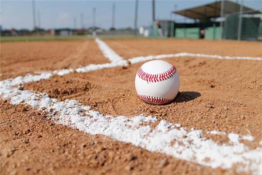 Die Black Sox stehen an der Spitze der Baseball-Landesliga Nord-Ost. Foto: Pixabay/Cindy Jones