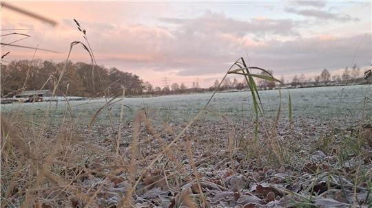Die Blätter in Stade-Schölisch sind am Boden gefroren.
