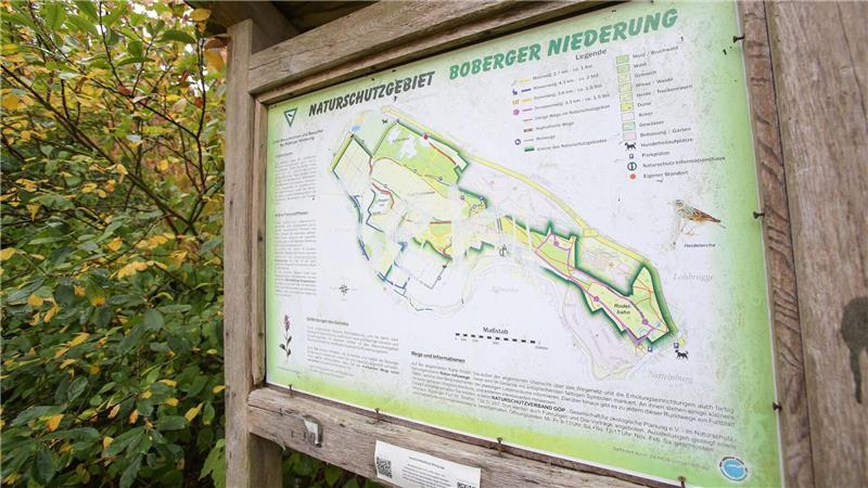 Dioxin-Sanierung in Boberger Niederung startet im November Die Boberger Niederung ist für ihre Boberger Dünen bekannt. (Archivfoto)