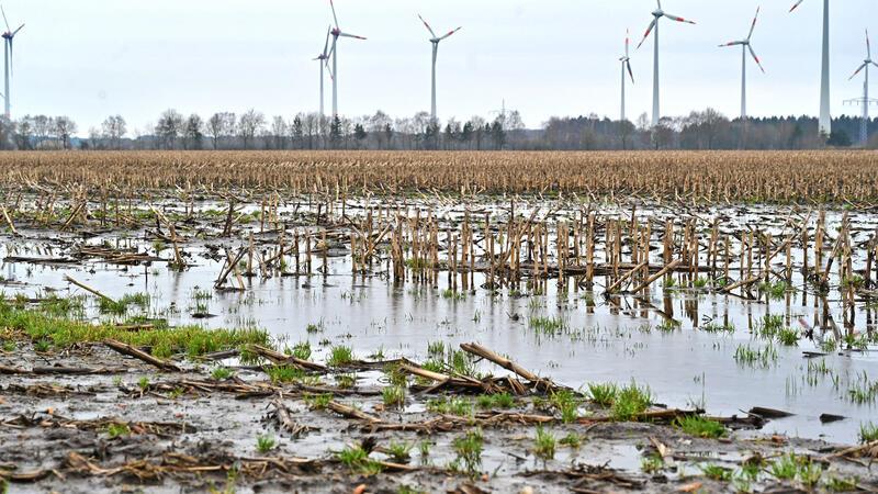Die Böden auf den Feldern können das Wasser teilweise nicht mehr aufnehmen.