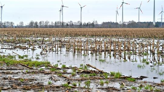 Die Böden auf den Feldern können das Wasser teilweise nicht mehr aufnehmen.