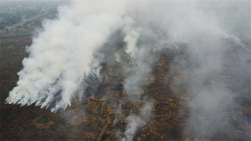 Die Brände auf Borneo und Sumatra wüten seit Monaten.
