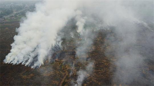 Die Brände auf Borneo und Sumatra wüten seit Monaten.
