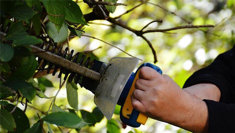 Die Bremervörder Polizei ermittelt gegen einen Stader, der bei der Abrechnung von Gartenarbeiten betrogen haben soll. Foto: Pixabay.de/Alexas_Fotos