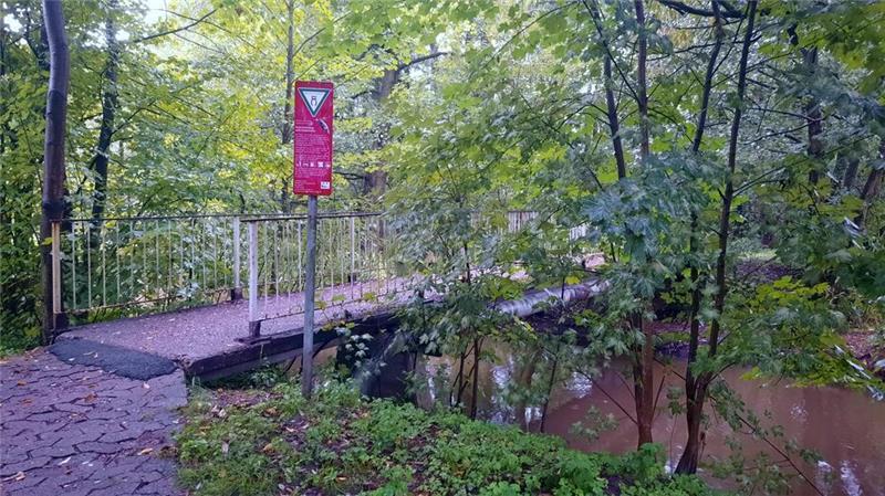 Die Brücke befindet sich gut sichtbar im Naturschutzgebiet.
