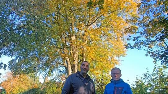 Die Buche muss weg. Gerne hätten Ralf von Holt (links) und Wilfried Böhling sie gerettet.