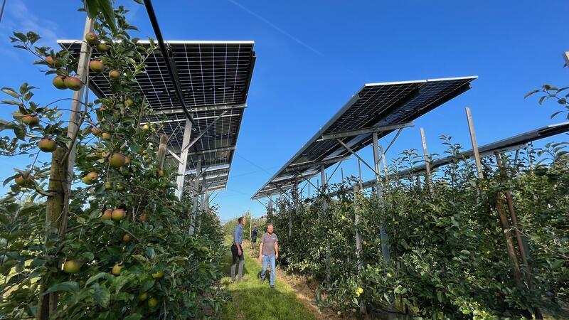 Die Bürger aus den Samtgemeinden Lühe und Horneburg sowie der Gemeinde Jork wünschen den Ausbau der Photovoltaik - auf Dächern und Obstplantagen.