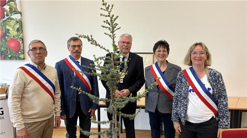 Die Bürgermeister aus der Normandie überreichen ihrem Amtskollegen Matthias Riel eine Zeder als Symbol der Freundschaft.