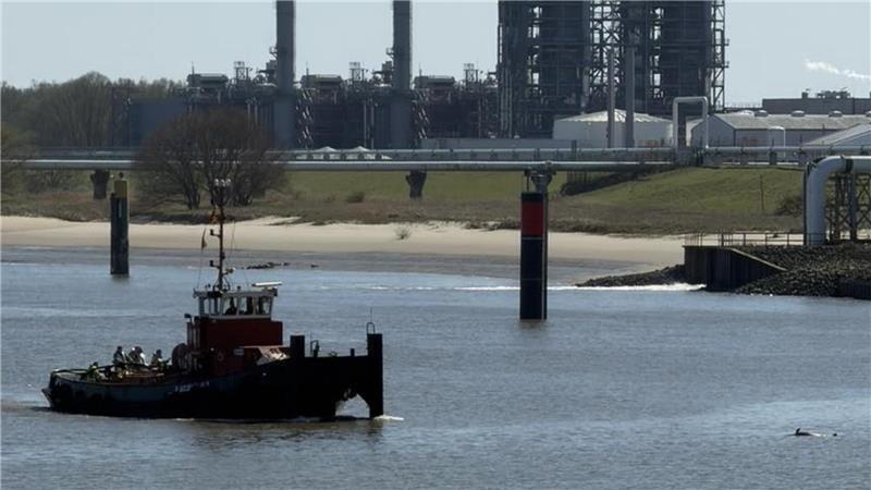 Die Bützflether Feuerwehr wurde am Dienstag zu einem "Tier im Wasser" alarmiert.