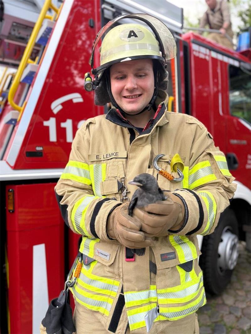Buxtehuder Feuerwehr im Dauer-Einsatz Die Buxtehuder Feuerwehr hat einen Vogel gerettet.