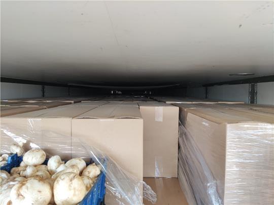 Die Champignons-Ladung diente als Tarnung für die Schmuggelzigaretten. Foto: Zoll