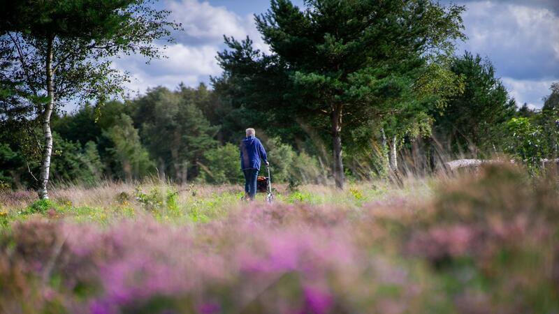 Wandern: Reiseführer mit den 20 schönsten Touren im Elbe-Weser-Raum Die Cuxhavener Küstenheiden gehören zu den Lieblingstouren der Autorin. Mit 16 Kilometern ist es gleichzeitig die längste Route im Buch.