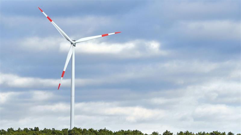 Die Deckelung ist Bestandteil der Reform des Erneuerbare-Energien-Gesetzes (EEG), das derzeit im Bundestag beraten wird. (Archivbild)