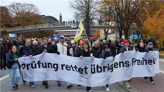 Die Demonstranten machen sich für eine Überprüfung aller rechtsextremen Parteien durch das Bundesverfassungsgericht stark. 