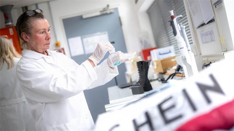 Die Deutsche Umwelthilfe hat Kleidung von Shein beim Bremer Umweltinstitut testen lassen.