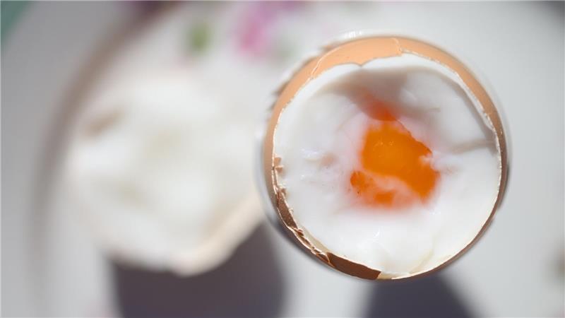 Die Deutschen Gesellschaft für Ernährung empfiehlt ein Ei pro Woche, zum Beispiel als Frühstücksei. (Archivbild)