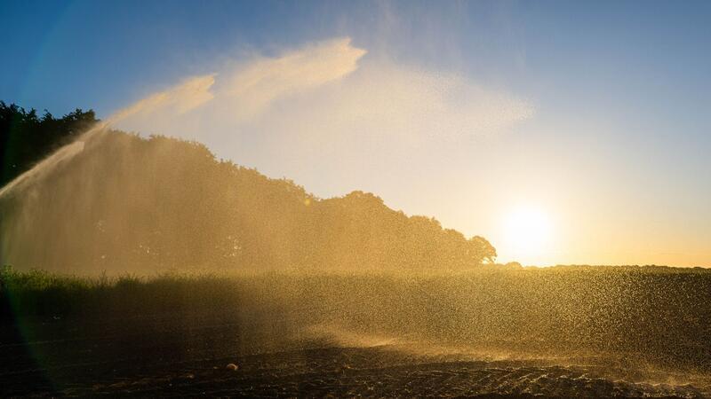 Dürre hält weiter an - Wann kommt der Wetterumschwung im Kreis Stade? Die Dürre in Niedersachsen hält an, es ist kein langanhaltender Regen in Sicht. (Symbolfoto)
