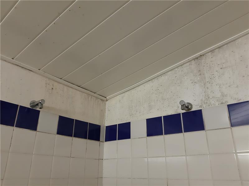 Die Duschkabinen in der Turnhalle. Foto: Bösch