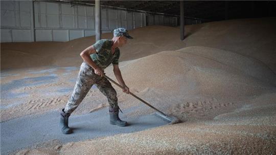 Die Einfuhr von Weizen aus der Ukraine bleibt zunächst zollfrei.