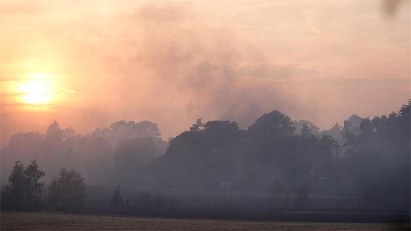 Die Einsatzkräfte bekämpften die Flammen in verschiedenen Gebieten gleichzeitig.