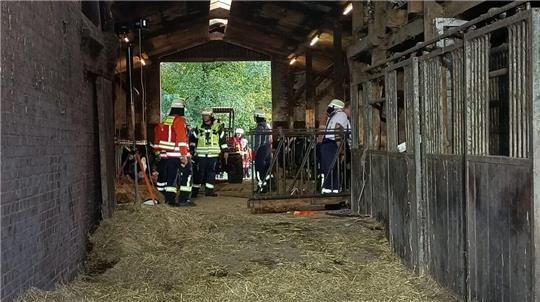 Feuerwehrkräfte im Einsatz in einem Stall in Hemmoor-Basbeck