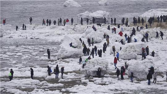 Zahlreiche Menschen gehen zwischen großen und kleinen Eisschollen an der Elbe bei Geesthacht. 