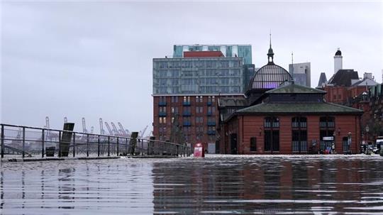 Die Elbe schwappt auf den Parkplatz an der Fischauktionshalle.