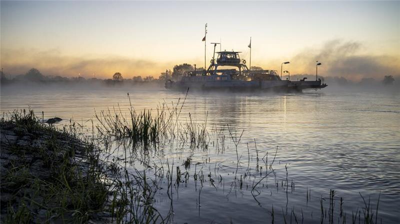 Flusslandschaft Elbe: Infos über Tourismusregion werden digitalisiert Die Elbfähre Tanja auf der Elbe bei Darchau.