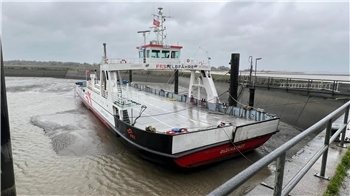 Die Elbfähre muss zeitweise pausieren. (Archivbild)
