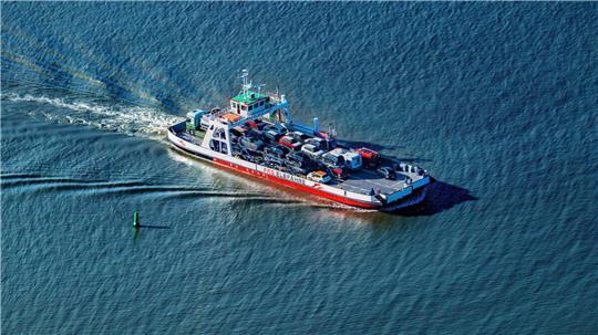 Rosario Dousonning yalangoch fotosuratlari