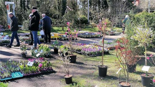 Die Elmer Paul-Gerhard-Stiftung lädt ein zum Kunsthandwerker- und Gartenmarkt.