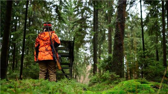 Die Empörung bei vielen der rund 60.000 Jägerinnen und Jägern in Niedersachsen ist groß. (Symbolbild)