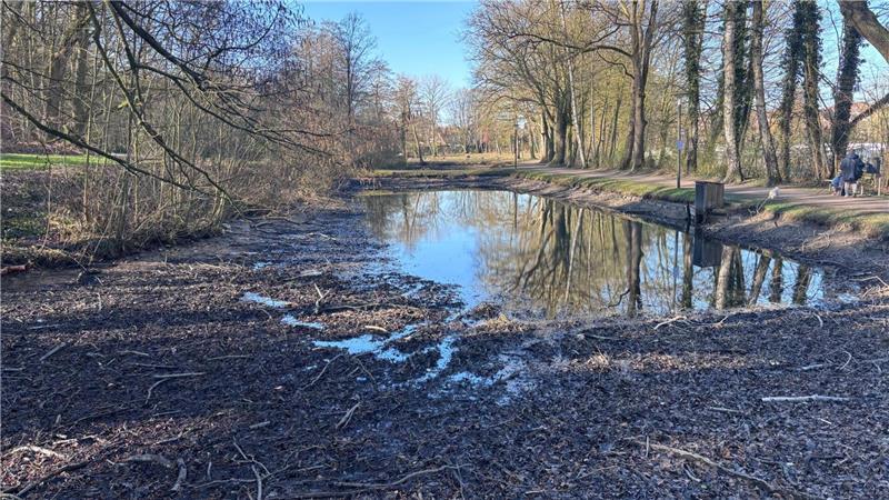 Die Entsandung der Klosterteiche läuft seit rund einer Woche. Die kleineren Teiche werden ebenfalls ausgebaggert.