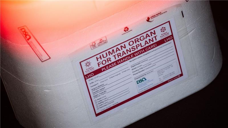 Spenderherz falsch gekühlt: Junge in Italien gestorben Die Ersatzorgane werden in einer Kühlbox transportiert. (Symbolbild)